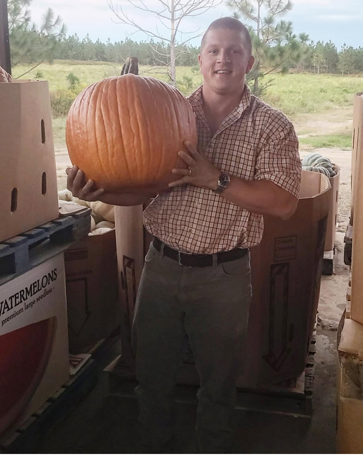 The Grand Entrance Pumpkin Porchscape