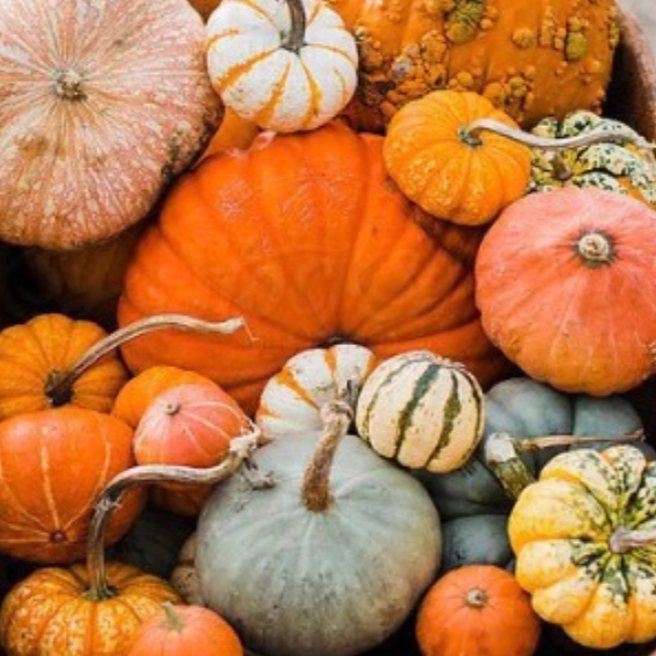 Gentle Glow Pumpkin Drop with both large and small pumpkins