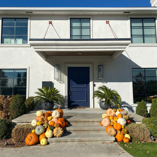 Modern house with pumpkins on the steps in San Marco, Jacksonville FL
