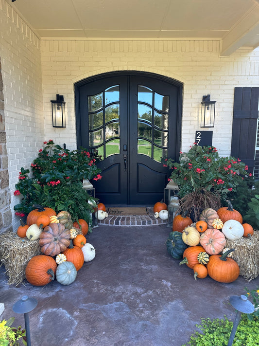 Decorative pumpkins and plants on a porch in front of a house with a black door.