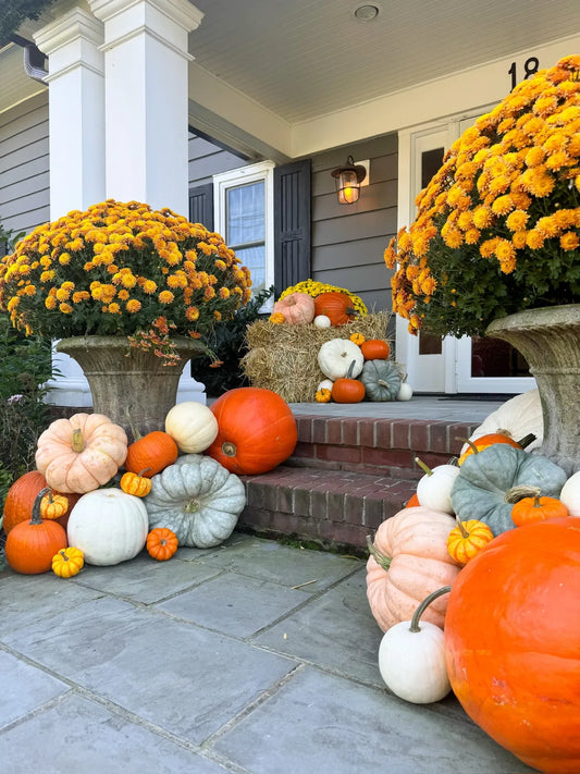 Grand - big FALL impact for larger porches