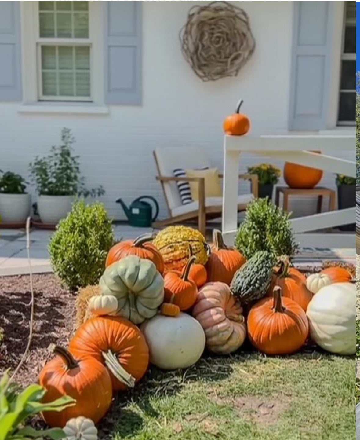 Assorted pumpkins in front of a white house with hay bale