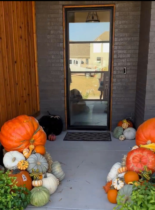 Video of many pumpkins placed around a home in a grand way